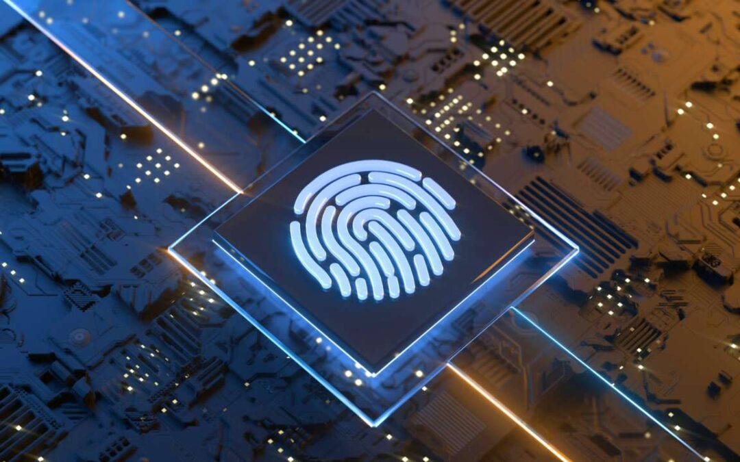 Brasileiro gasta mais de 50% do salário por ano em comprovação de identidade