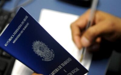 Micro e pequenas empresas são as maiores empregadoras do país